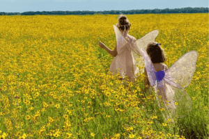 fairies