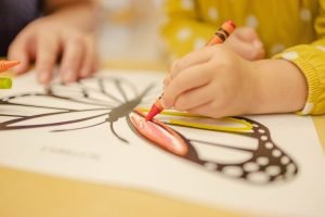 coloring butterfly